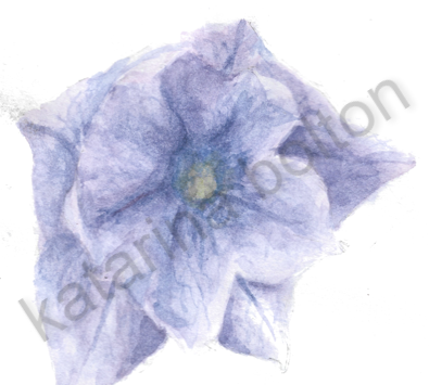 a really purple flower watercolour painting